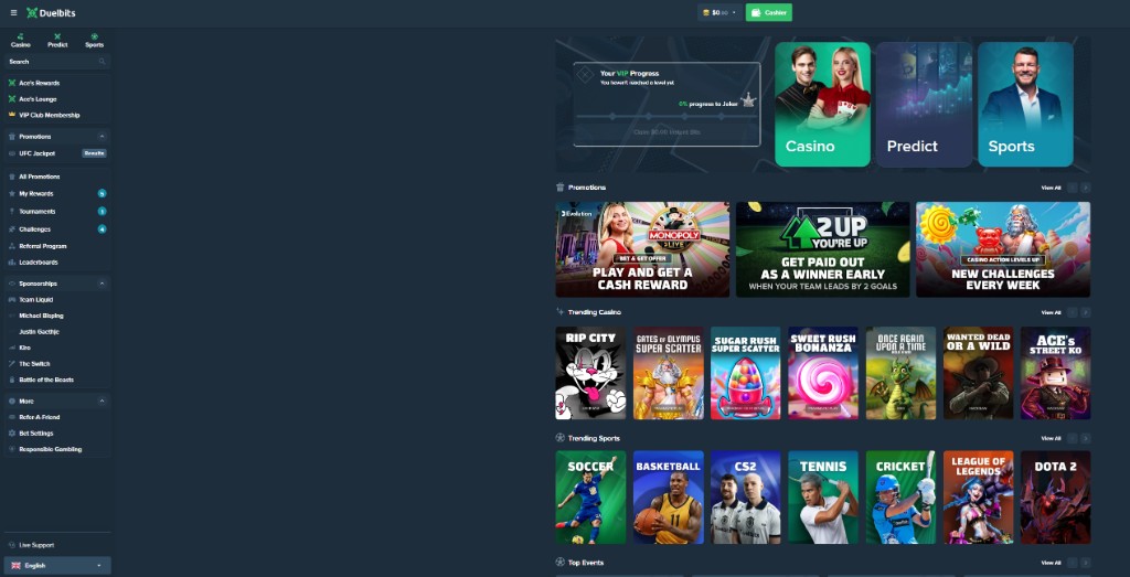 Duelbits interface preview